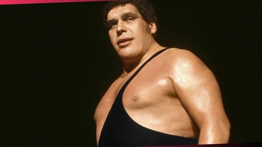 what happened to andre the giant