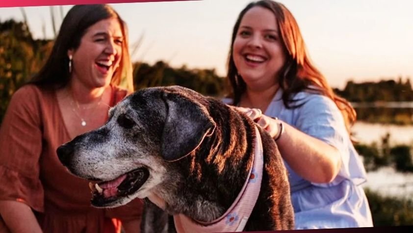 what happened to annie wilkins dog